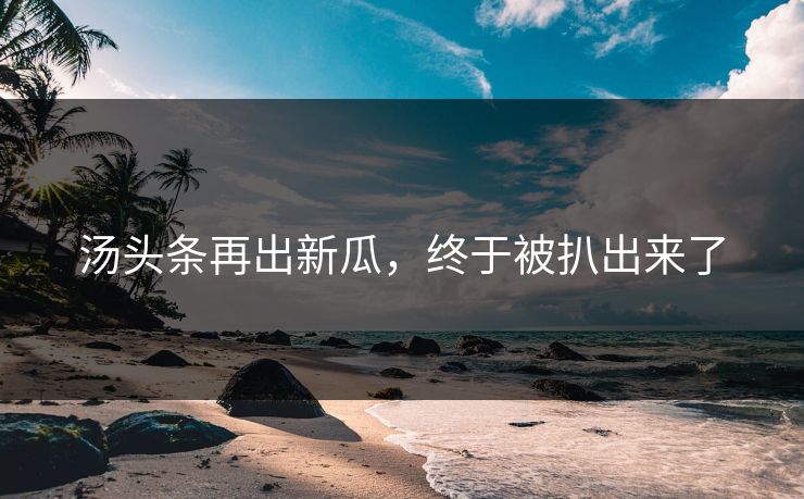 汤头条再出新瓜，终于被扒出来了