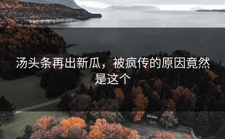 汤头条再出新瓜，被疯传的原因竟然是这个