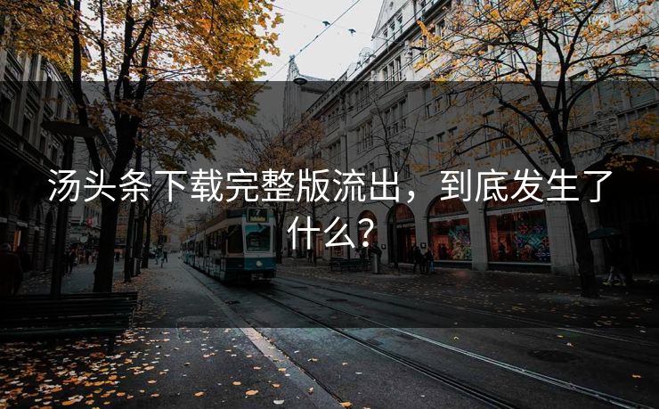 汤头条下载完整版流出，到底发生了什么？