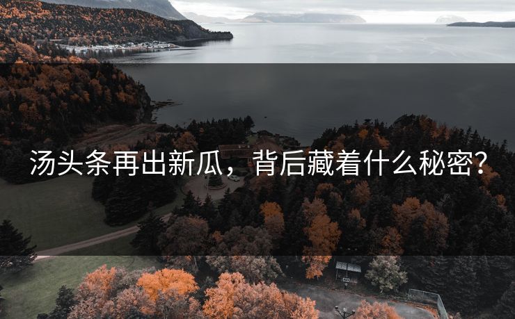 汤头条再出新瓜，背后藏着什么秘密？