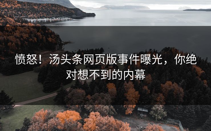 愤怒！汤头条网页版事件曝光，你绝对想不到的内幕