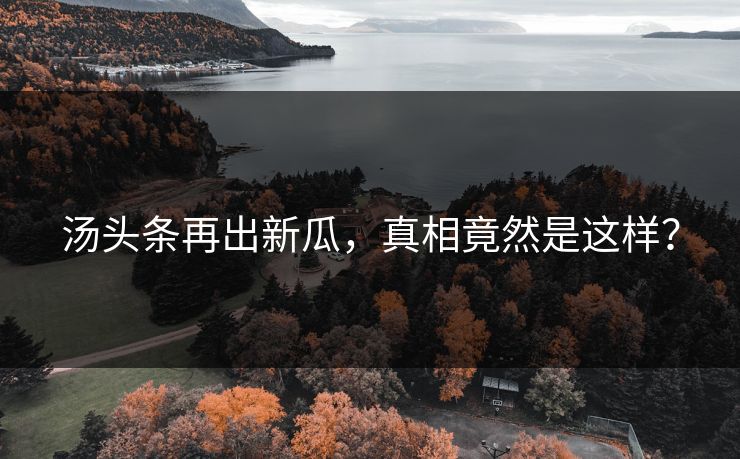 汤头条再出新瓜，真相竟然是这样？