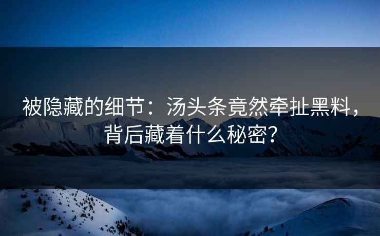 被隐藏的细节：汤头条竟然牵扯黑料，背后藏着什么秘密？