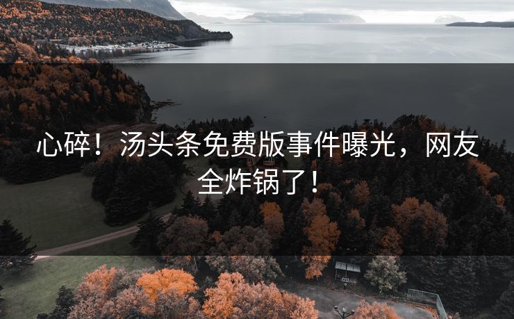 心碎！汤头条免费版事件曝光，网友全炸锅了！