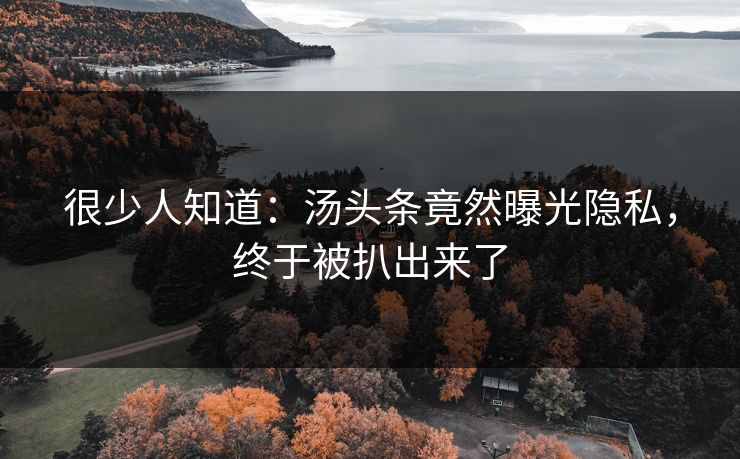 很少人知道：汤头条竟然曝光隐私，终于被扒出来了