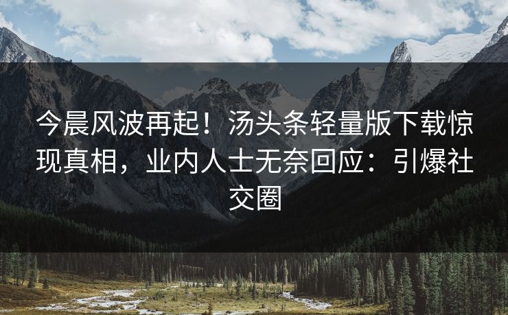 今晨风波再起！汤头条轻量版下载惊现真相，业内人士无奈回应：引爆社交圈