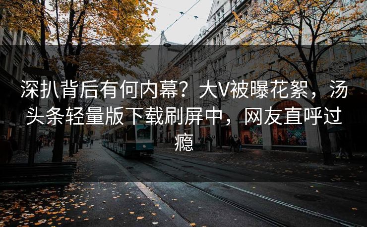 深扒背后有何内幕？大V被曝花絮，汤头条轻量版下载刷屏中，网友直呼过瘾