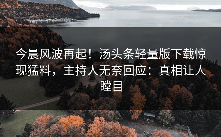 今晨风波再起！汤头条轻量版下载惊现猛料，主持人无奈回应：真相让人瞠目