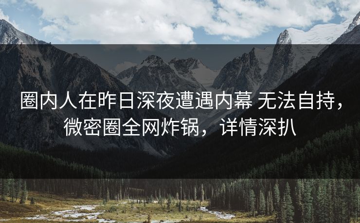 圈内人在昨日深夜遭遇内幕 无法自持，微密圈全网炸锅，详情深扒