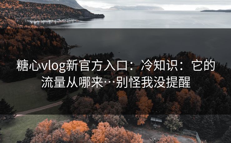 糖心vlog新官方入口：冷知识：它的流量从哪来…别怪我没提醒